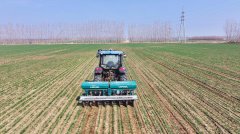 而是正在一块大屏幕前